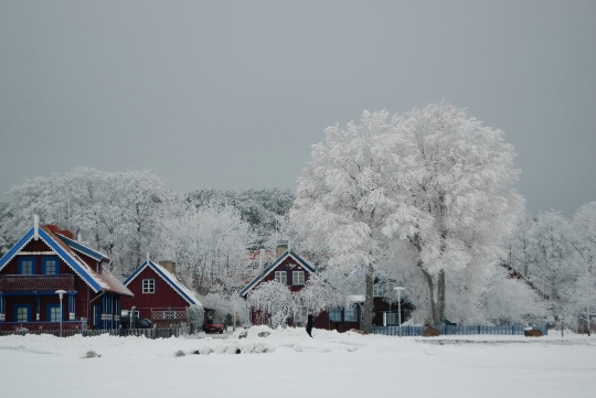 Ferien in Litauen im Januar