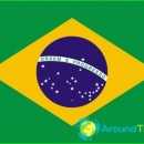 Brazil flag-photo-story-value-colors