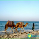 beaches-Tunis-best-photo-sand-beaches-in-Tunisia