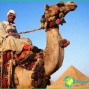 Culture-egypt-traditions-particularly