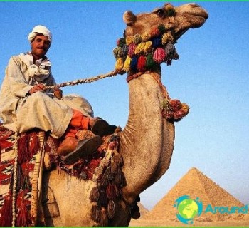 Culture-egypt-traditions-particularly