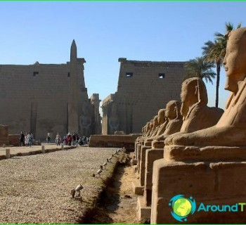 excursions-in-Luxor-sightseeing-tour-in Luxor