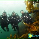 Diving in Norway