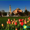 tours-in-istanbul-turkey-holidays-in-istanbul photo
