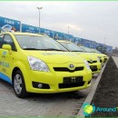 Taxi-in-Lviv-prices-order-number-is-in-taxi