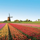 Holland: photos, description, interesting facts