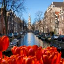 Tours to Holland. Holiday in the Netherlands: photo, trips