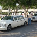 Taxi-on-cyprus-prices-order-number-is-on-taxi
