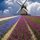 A trip to the Netherlands