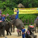 Zoo Bangkok photo-price-work-hours-a
