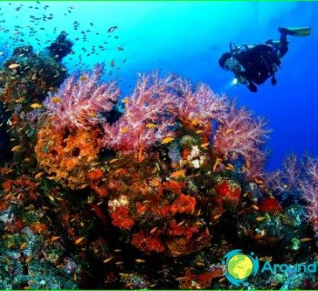 Diving on-Mauritius-place-for-diving photo