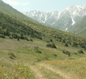 reserves, Kazakhstan and national-natural