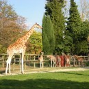 Zoo-in-paris-photo-price-work-hours-a