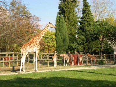 Zoo-in-paris-photo-price-work-hours-a