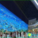 Dubai shopping-shopping-centers-and-market-in-dubai