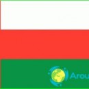 Flag of Oman photo-story-value-colors