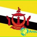 Flag of Brunei picture-story-value-colors