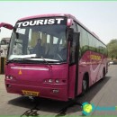 bus-tours-in-china-cost-bus tours