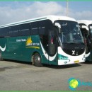 bus-tours-in-israel-cost-bus