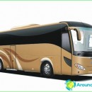 bus-tours-in-Serbia-cost-bus