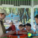 baby-camp-in-Khabarovsk-on-summer-baby-camp