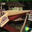 national-drink-Dominican Republic-alcohol-in