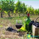 Armenian wine-red, dry white wine, the best-