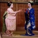 tradition-Japan-custom photo