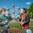 Brussels-for-children-that-look-where-to-c