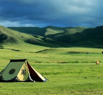 drive-in Mongolia
