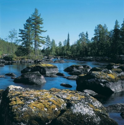 Reserves Karelia-national-natural