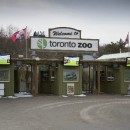 Zoo-in-Toronto photo-price-work-hours-a
