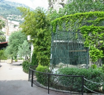 Zoo-Monaco-photos-price-work-hours-a-reach