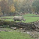 Zoo Salzburg-photo-price-work-hours-a
