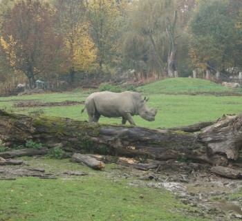 Zoo Salzburg-photo-price-work-hours-a