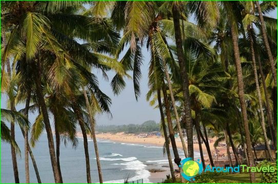 What to do in Goa?