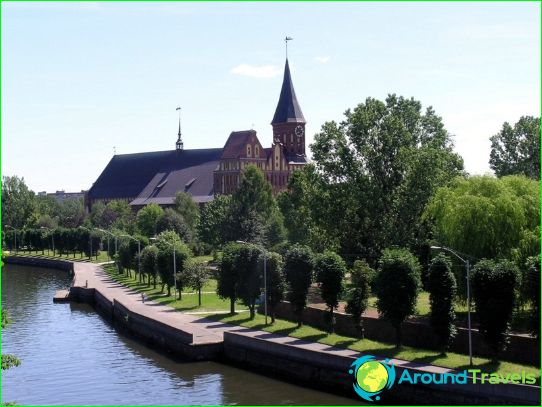 What to do in Kaliningrad?