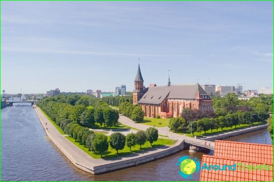 What to do in Kaliningrad?
