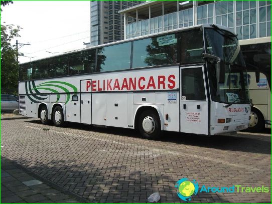 Photo: Bus tours in Benelux Bus tours in Benelux