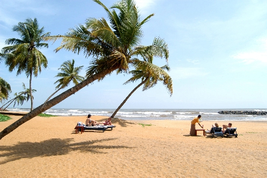Coast Sri Lanka