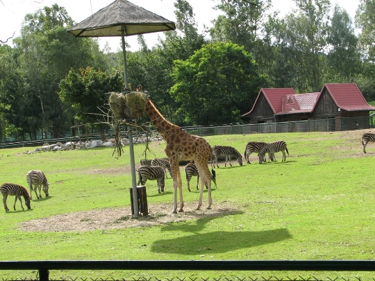 Zoo Gdansk