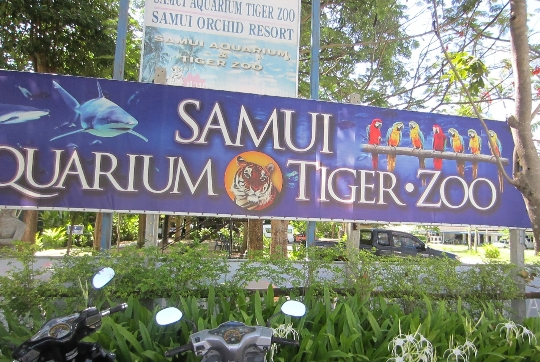 Zoo Samui