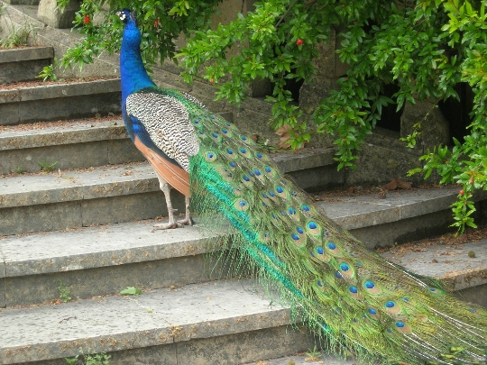 Zoo in Lisbon