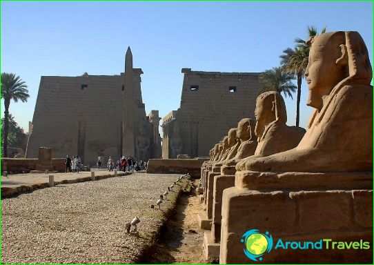 Excursions in Luxor