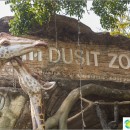 the-dusit-zoo-bangkok-yegor-fed-sheep-and-giraffe