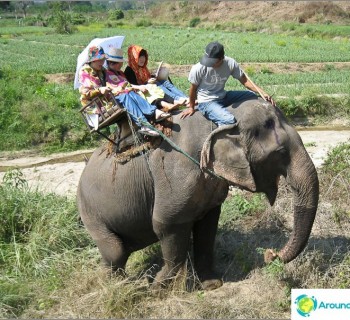 riding-an-elephant-pai-thailand-and-swimming-river