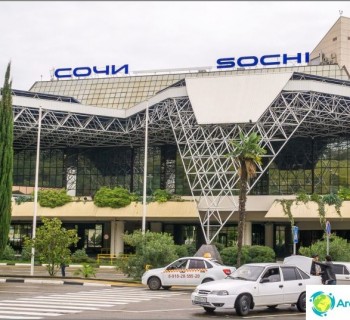 how-get-from-airport-sochi-bus-taxi-swallow