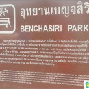benjasiri-park-bangkok-pleasant-oasis-middle-metropolis
