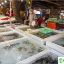seafood-market-phuket-food-and-sights