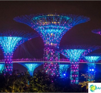 the-light-show-with-trees-from-avatar-singapore-must-view